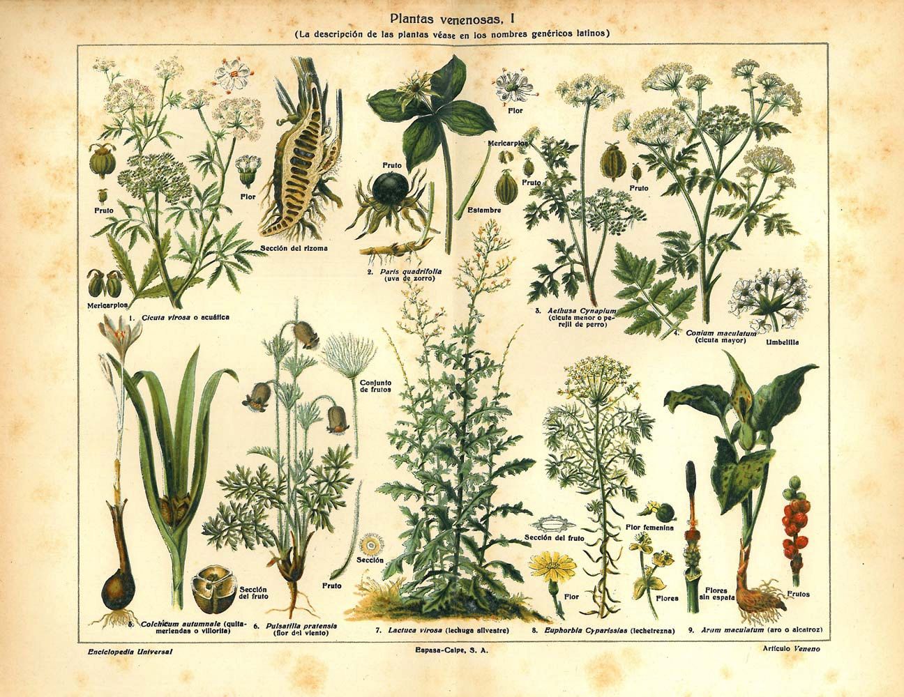 Biology pic for ASA website